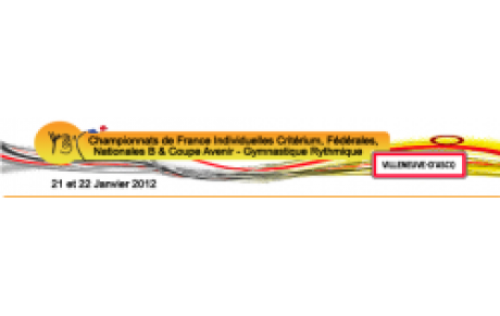  Villeneuve d’Ascq 2012 en chiffres